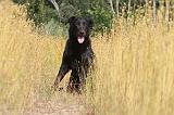 BEAUCERON 054